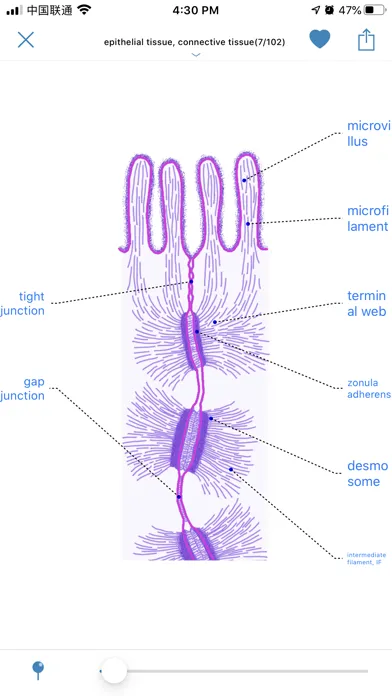 صور Atlas of Human Histology