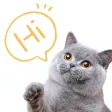 Pet Translator-Cat Simulator