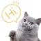Pet Translator-Cat Simulator