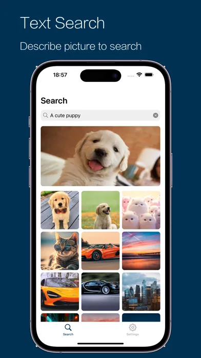 Скриншоты Simphoto - AI Album Search