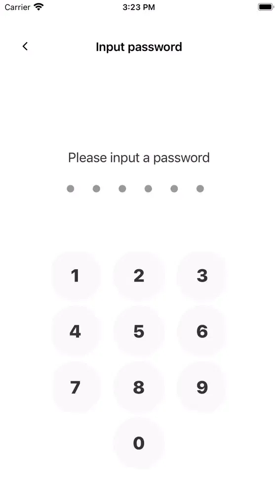Captures d'écran de Encrypted protection space