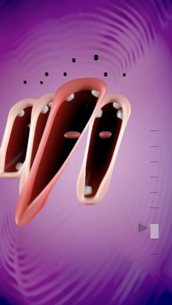 Choir! سکرین شاٹس