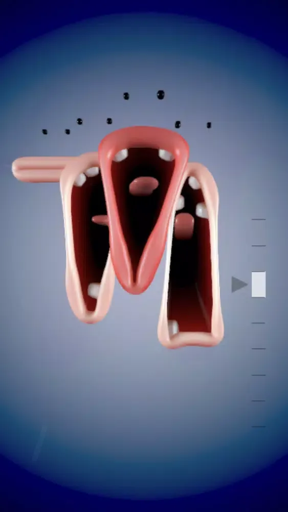Choir! سکرین شاٹس