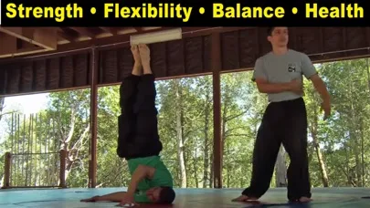 Kung Fu Body Workout应用截图
