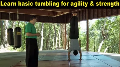 Kung Fu Body Workout应用截图