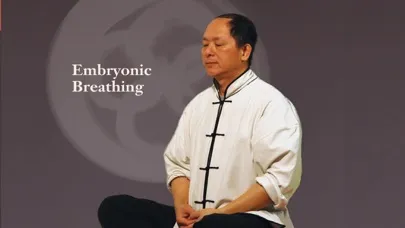 Capturas de tela do Embryonic Breathing Qigong