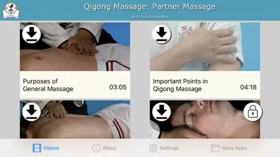 Capturas de pantalla de Qigong Massage: Partner