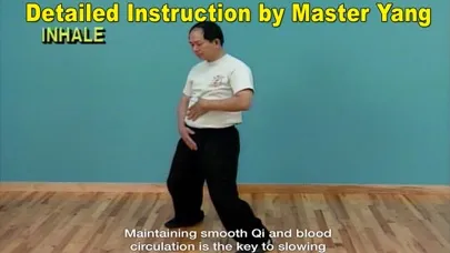 Capturas de pantalla de Qigong Massage: Partner