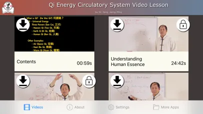 Captures d'écran de Qi Energy Video Lesson