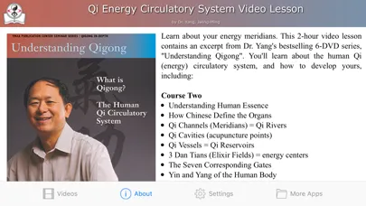 Captures d'écran de Qi Energy Video Lesson