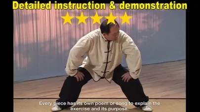 Eight Brocades Qigong Standing スクリーンショット
