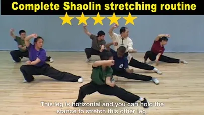 Shaolin Kung Fu Fundamental سکرین شاٹس