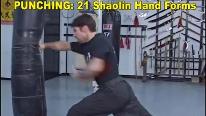 Shaolin Kung Fu Fundamental سکرین شاٹس