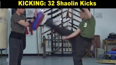 Shaolin Kung Fu Fundamental سکرین شاٹس