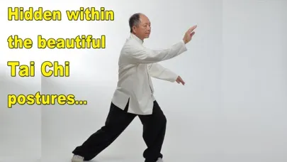 Captures d'écran de Tai Chi Martial Applications