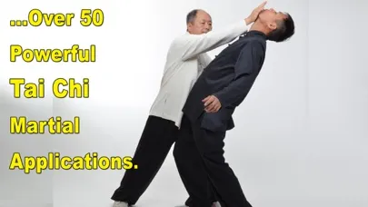 Captures d'écran de Tai Chi Martial Applications