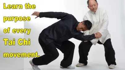 Captures d'écran de Tai Chi Martial Applications