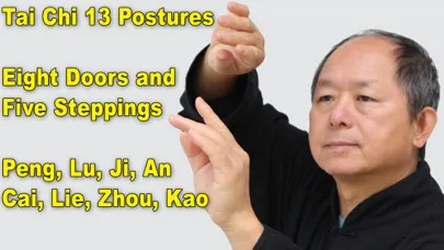 Tai Chi 13 Postures应用截图