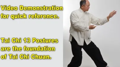 Tai Chi 13 Postures应用截图