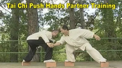 صور Tai Chi Pushing Hands (YMAA)