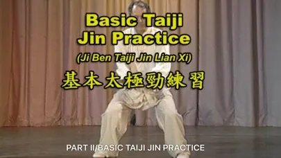 صور Tai Chi Pushing Hands (YMAA)