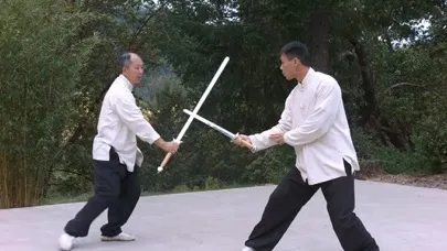 Captures d'écran de Tai Chi Sword for Beginners