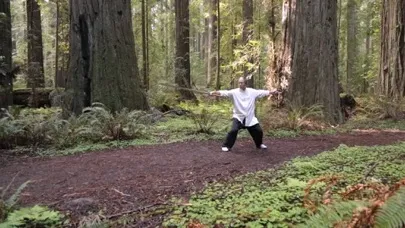 Captures d'écran de Tai Chi Sword for Beginners