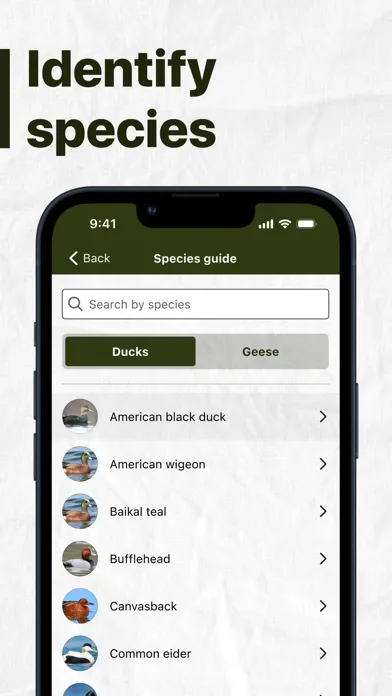Captures d'écran de My Duck Log