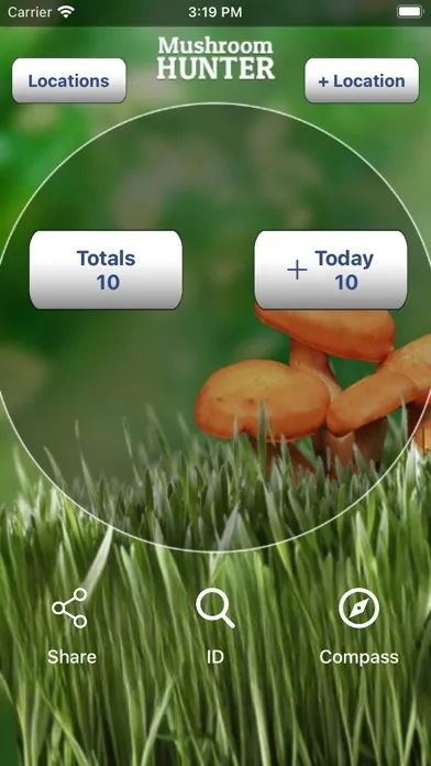 تصاویر My Mushroom Log