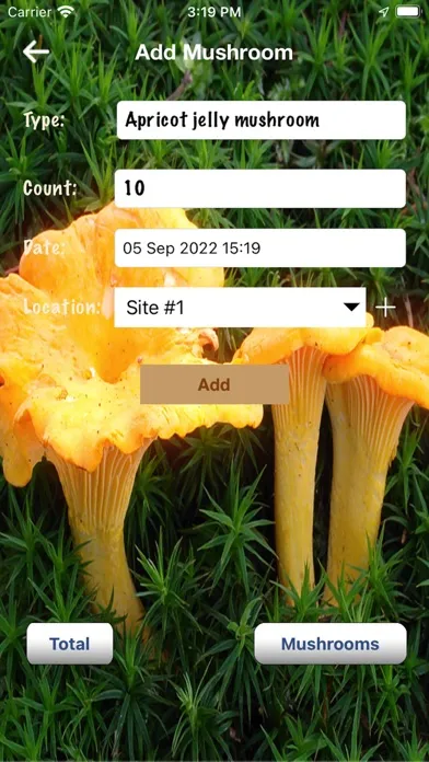 تصاویر My Mushroom Log