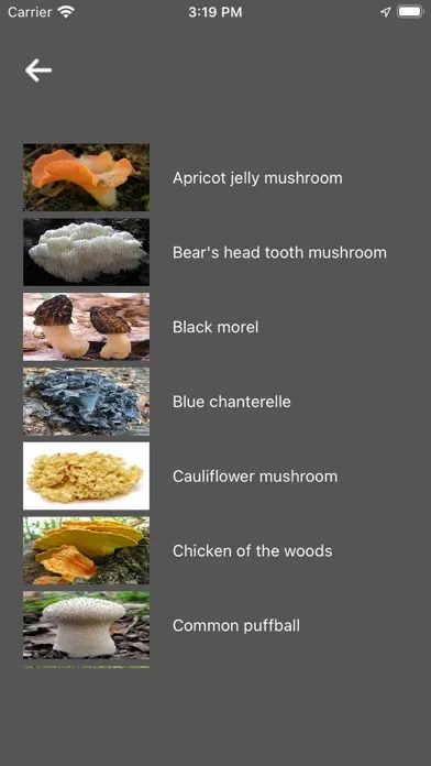 تصاویر My Mushroom Log