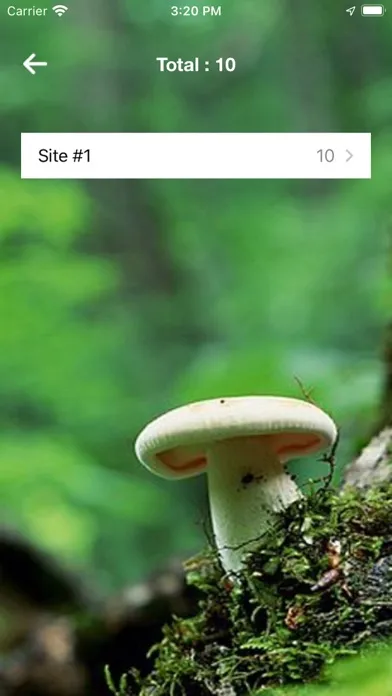 تصاویر My Mushroom Log
