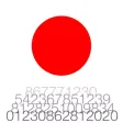 realJapan