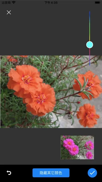 Tangkapan layar Palette Collect - Match colors