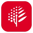博鳌医学 博鳌医学