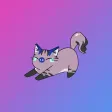 小奶猫秀-趣味生活分享社区