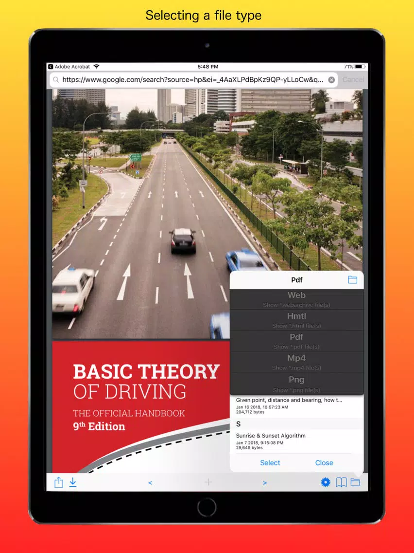 ภาพหน้าจอของ Web File Viewer iPad 