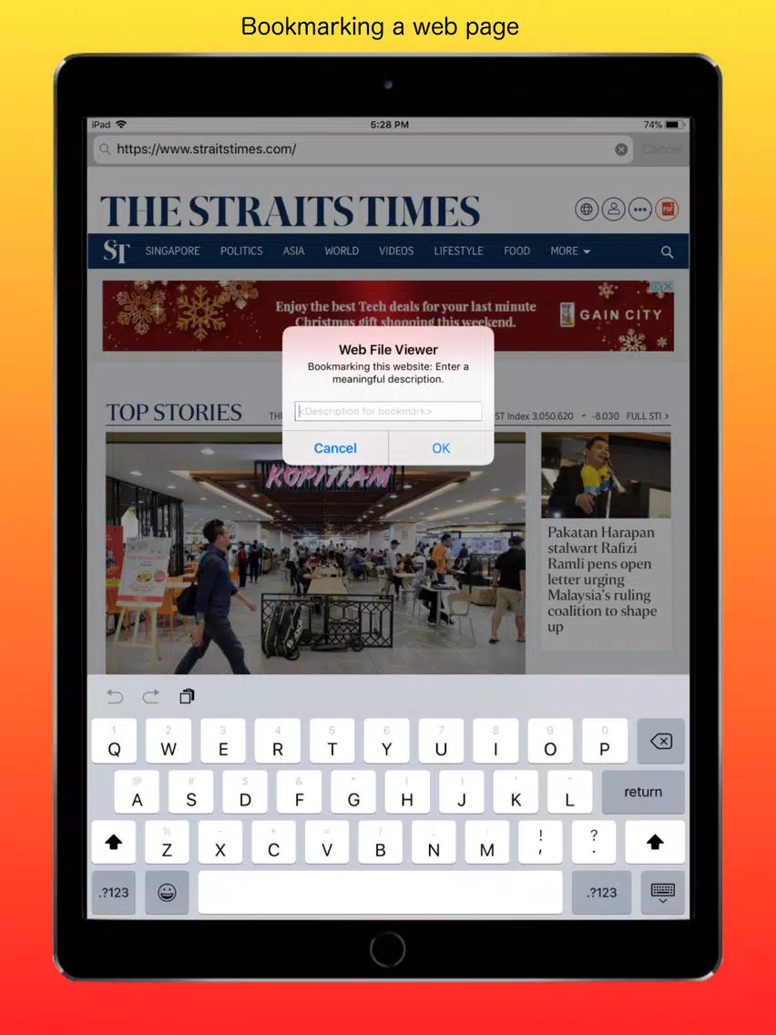 ภาพหน้าจอของ Web File Viewer iPad 