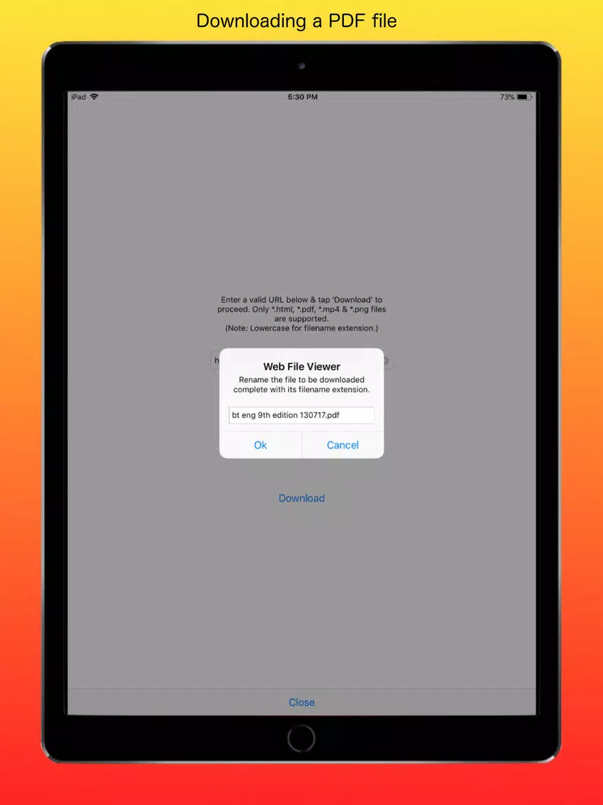 ภาพหน้าจอของ Web File Viewer iPad 