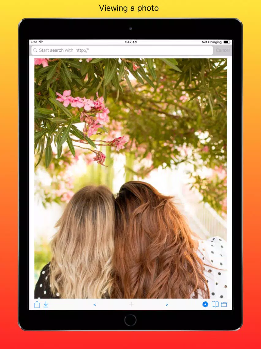 ภาพหน้าจอของ Web File Viewer iPad 