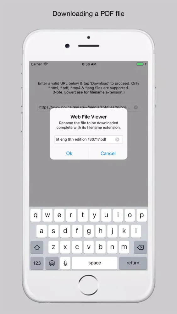 Web File Viewer应用截图
