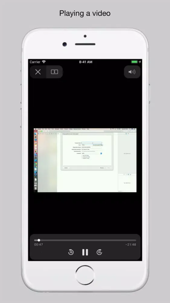 Web File Viewer应用截图