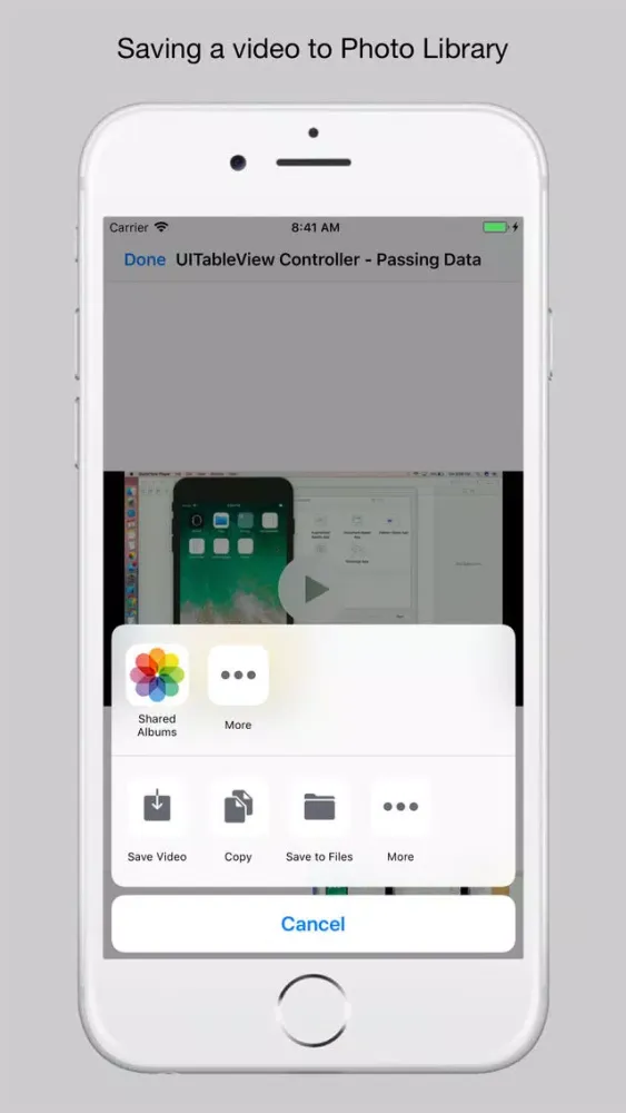 Web File Viewer应用截图