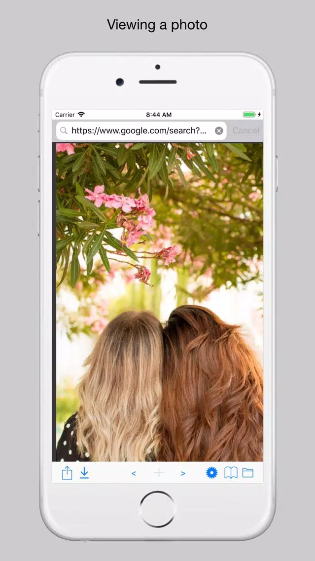 ภาพหน้าจอของ Web File Viewer