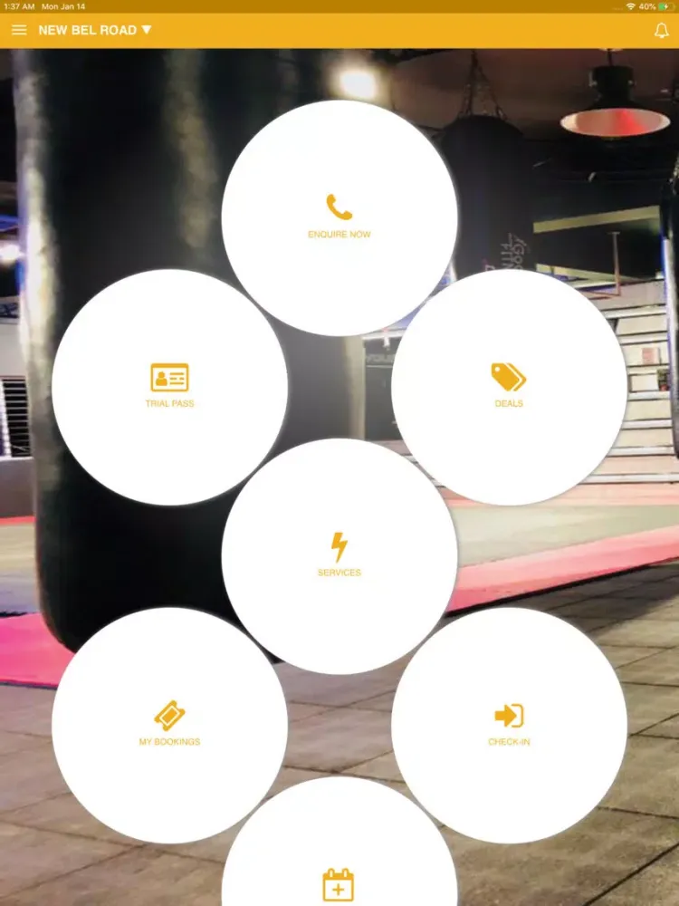 Fitness Ace iPad  Ekran Görüntüleri