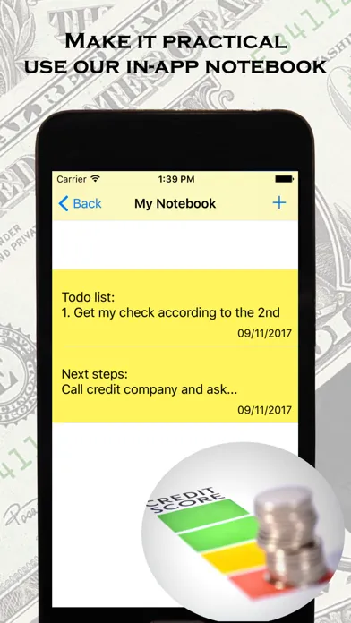 Screenshot di Credit Rating and Credit Check