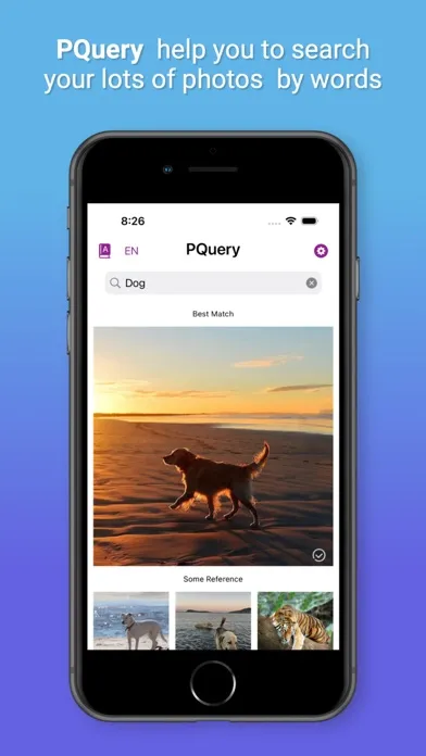 Tangkapan skrin PicQuery-AI Photo finder