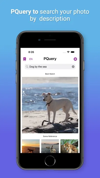 Tangkapan skrin PicQuery-AI Photo finder