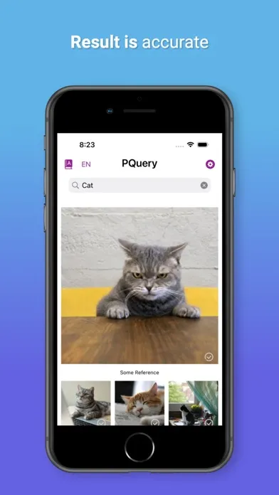 Tangkapan skrin PicQuery-AI Photo finder