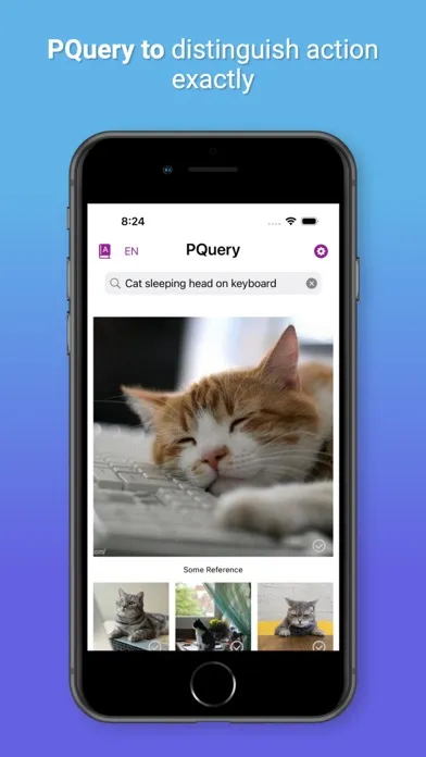 Tangkapan skrin PicQuery-AI Photo finder